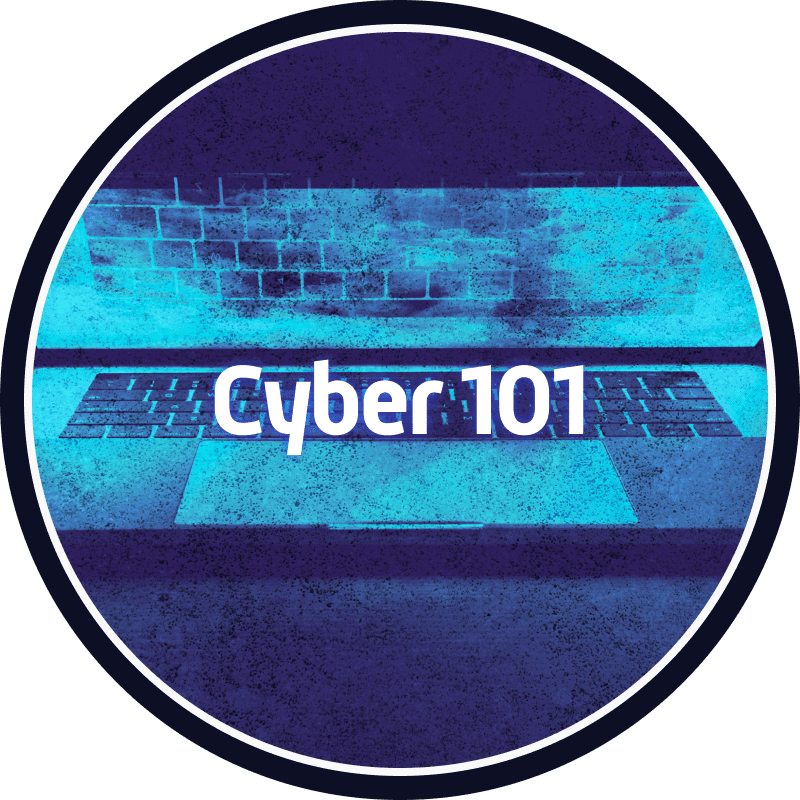 Cyber 101 badge